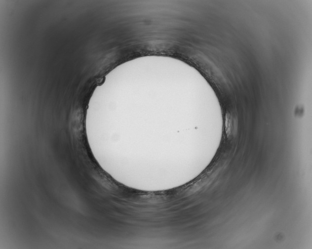 X0000102821107200809151008