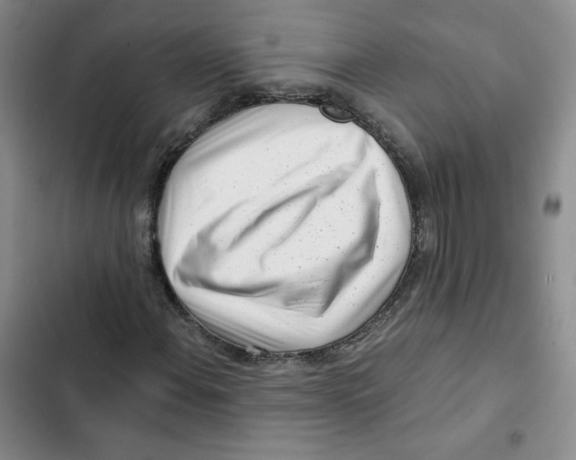X0000102821108200809151009