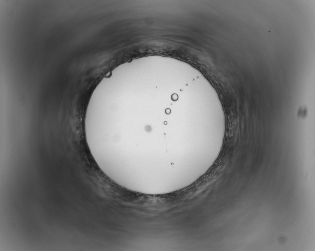 X0000102821109200809151009