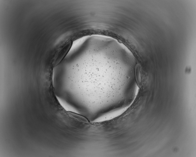 X0000102821110200809151009