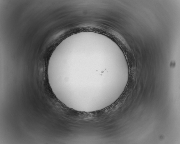 X0000102821111200809151009