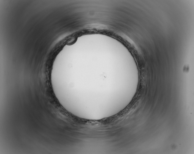 X0000102821112200809151009