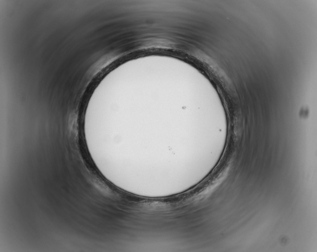 X0000102821113200809151009