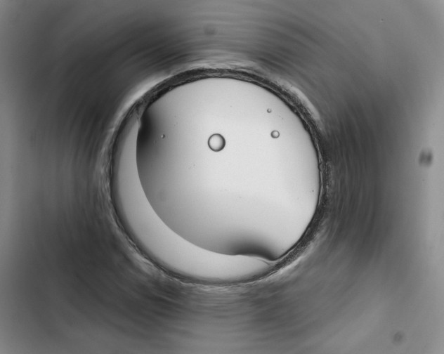 X0000102821114200809151009