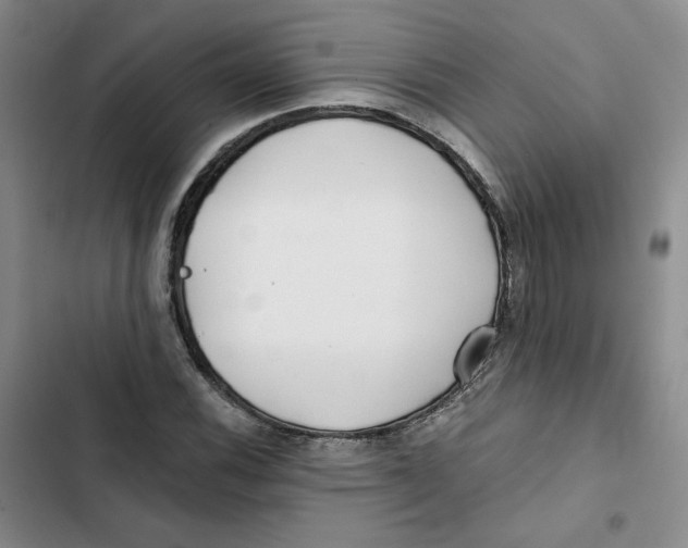 X0000102821116200809151009