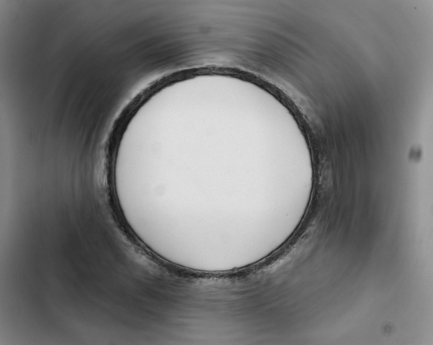 X0000102821118200809151009