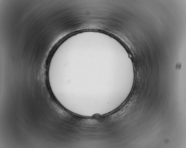 X0000102821119200809151009