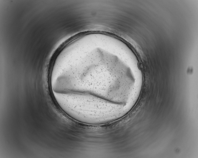 X0000102821120200809151009