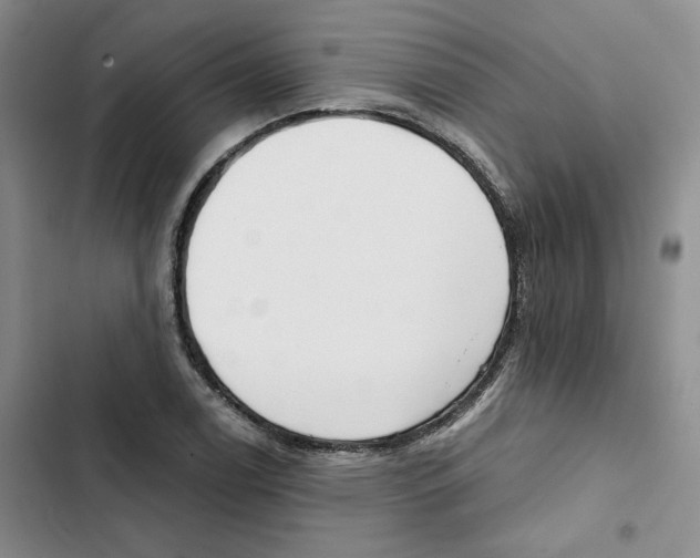 X0000102821122200809151009