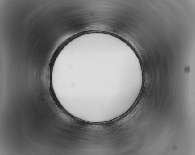 X0000102821123200809151009