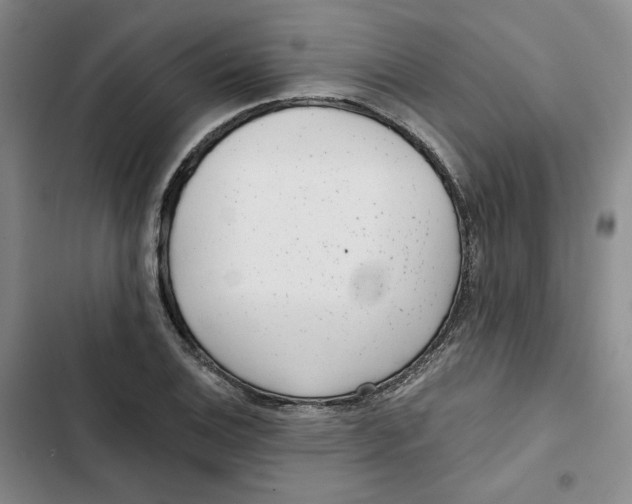 X0000102821124200809151009