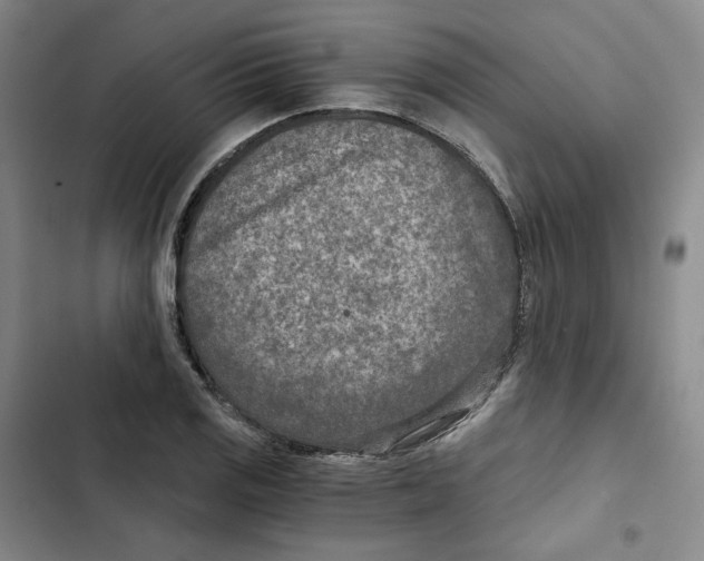 X0000102821125200809151009