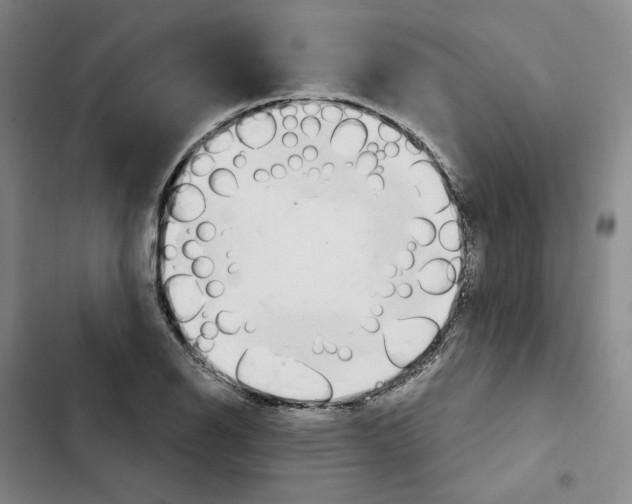 X0000102821126200809151009