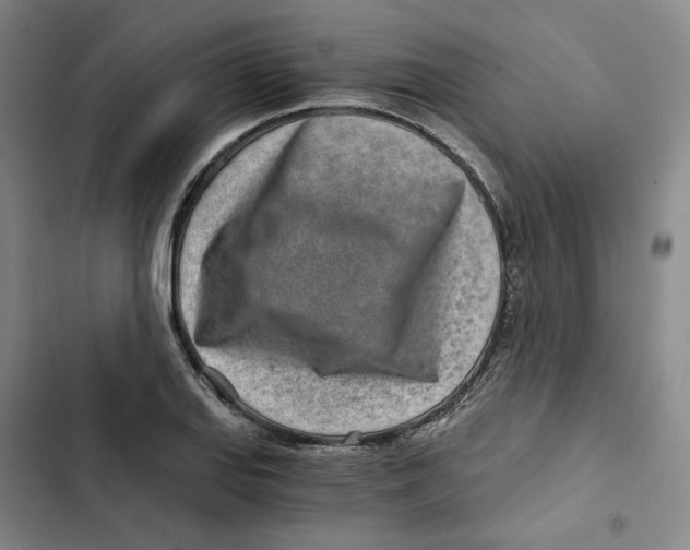 X0000102821127200809151009