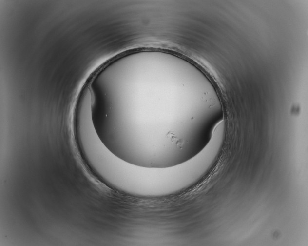 X0000102821128200809151009