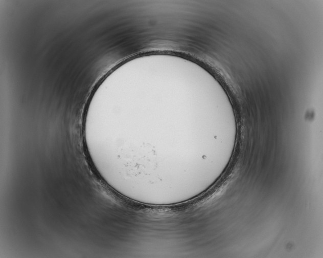 X0000102821129200809151009