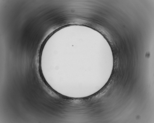 X0000102821130200809151009