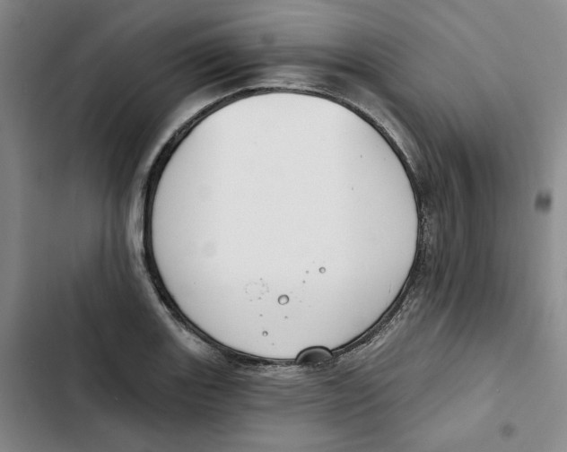 X0000102821131200809151009