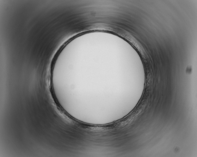 X0000102821132200809151009