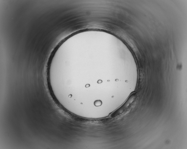 X0000102821133200809151009