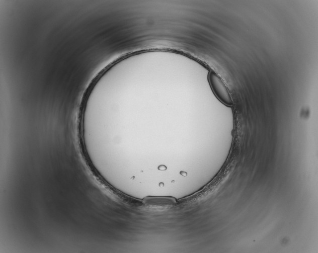 X0000102821134200809151009
