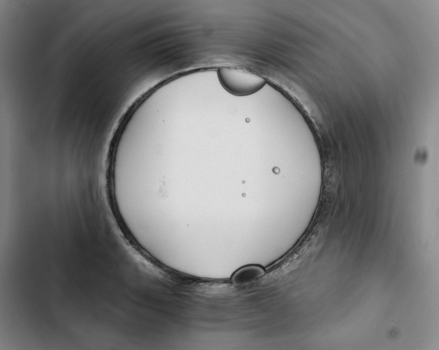 X0000102821135200809151009