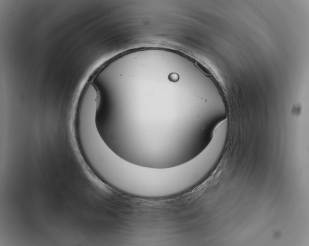 X0000102821136200809151009
