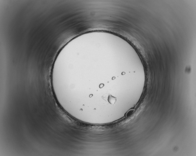 X0000102821137200809151009