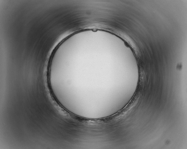 X0000102821138200809151009