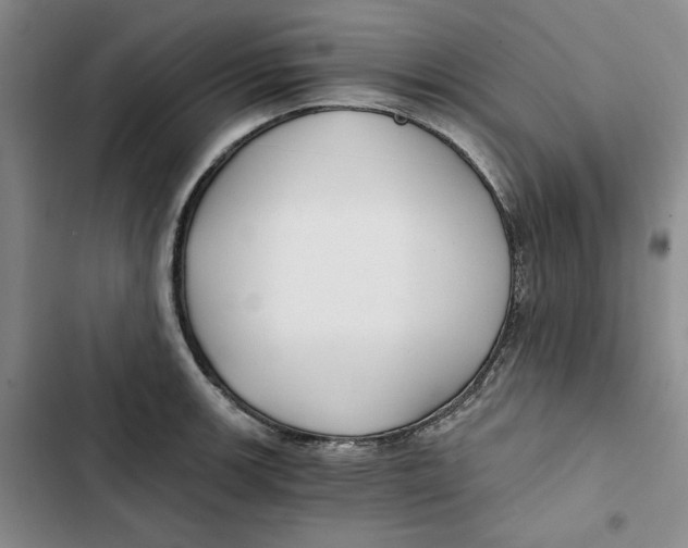 X0000102821139200809151009