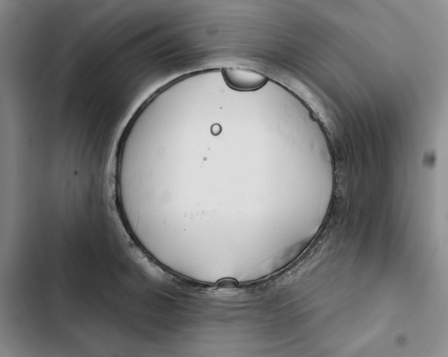 X0000102821140200809151009