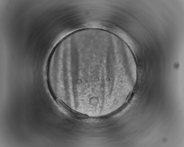 X0000102821141200809151009