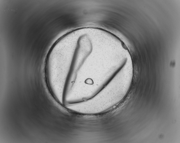 X0000102821142200809151009