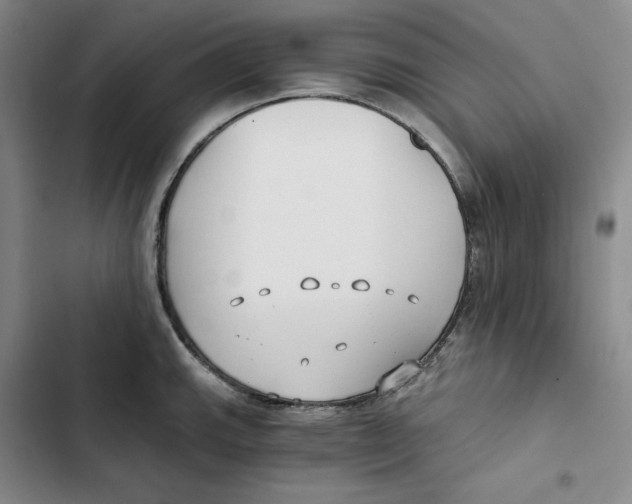 X0000102821143200809151009