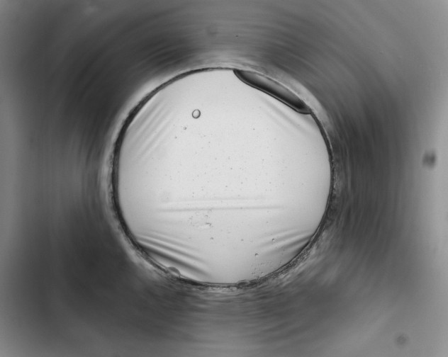 X0000102821144200809151009