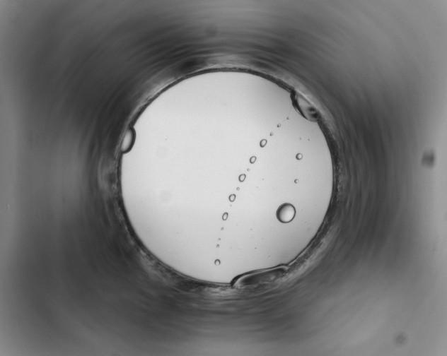 X0000102821145200809151009