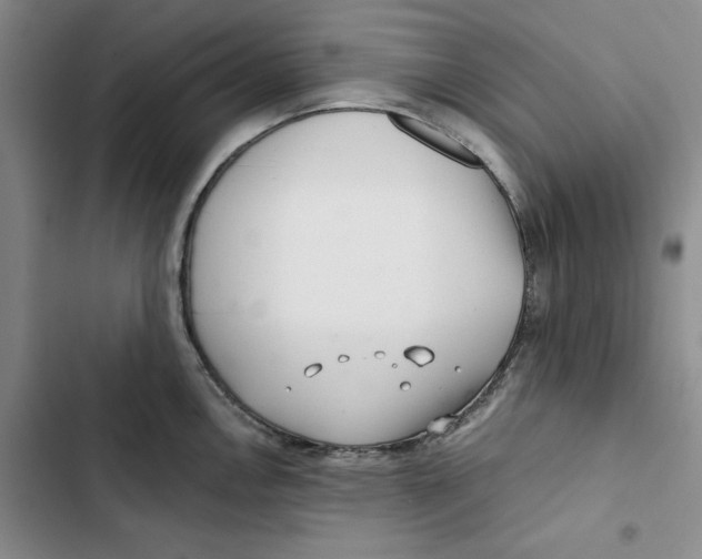 X0000102821146200809151009