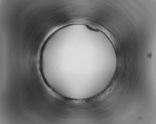 X0000102821147200809151009