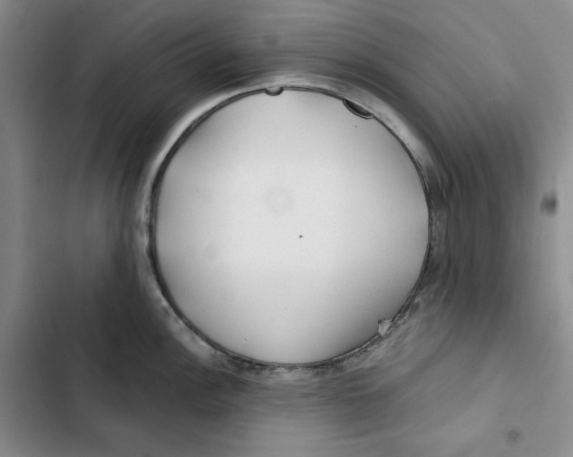 X0000102821148200809151009