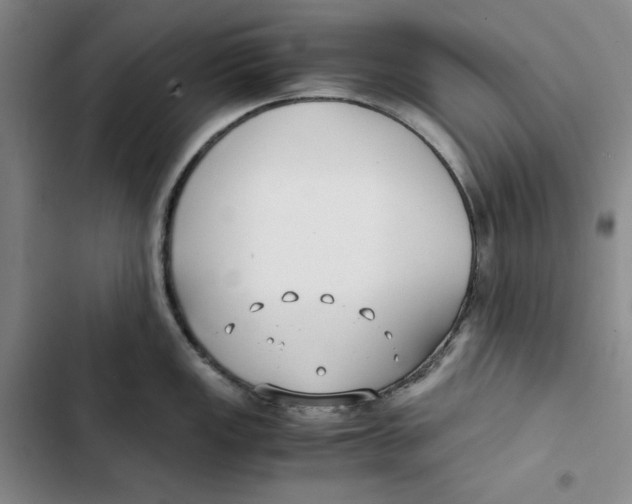 X0000102821149200809151009