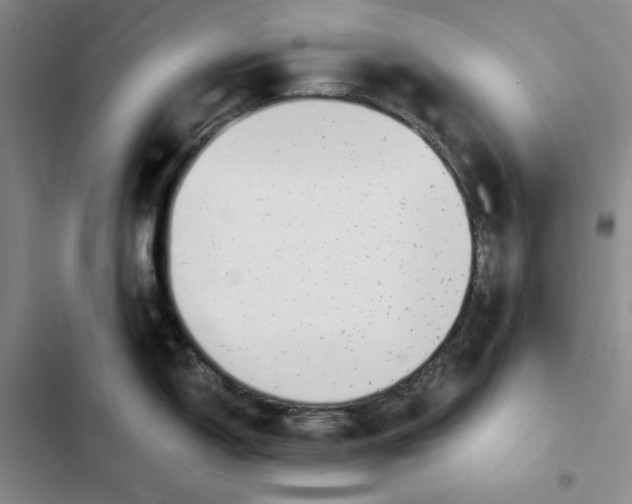 X0000102821150200809151009