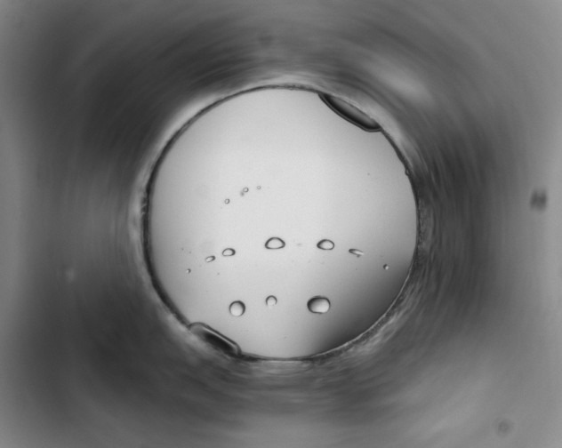 X0000102821151200809151009