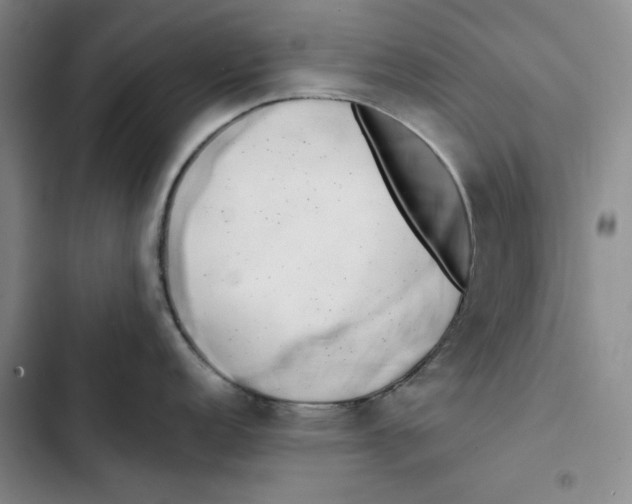 X0000102821152200809151009
