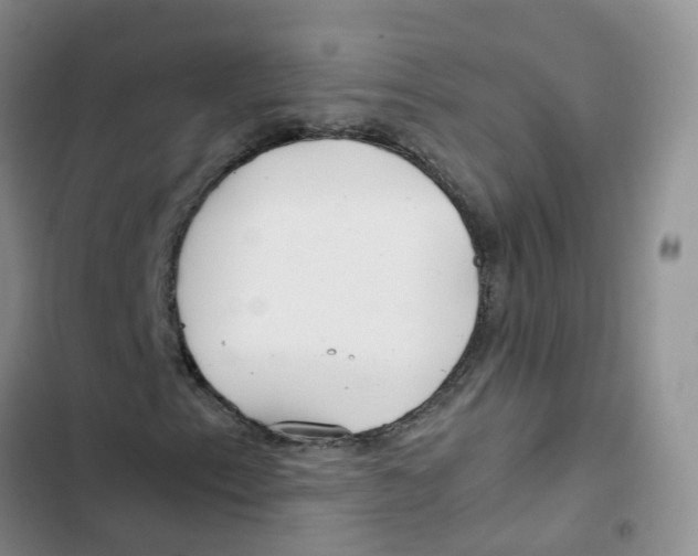 X0000102821153200809151008