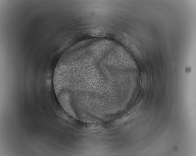 X0000102821154200809151008