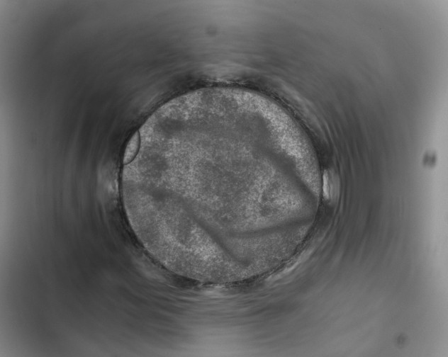 X0000102821155200809151008