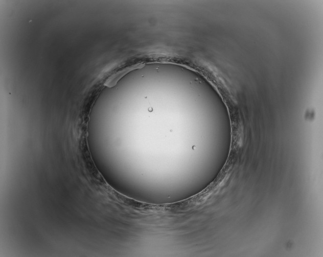 X0000102821157200809151008