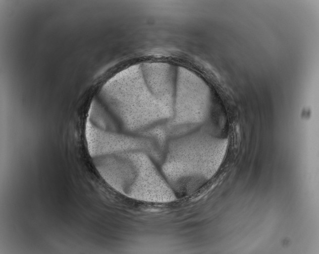 X0000102821158200809151008