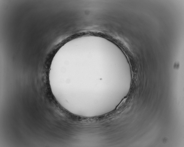 X0000102821159200809151008