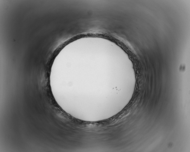X0000102821160200809151008